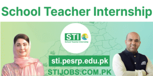 School Teacher Internee Jobs