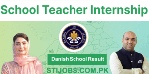 Danish School Result